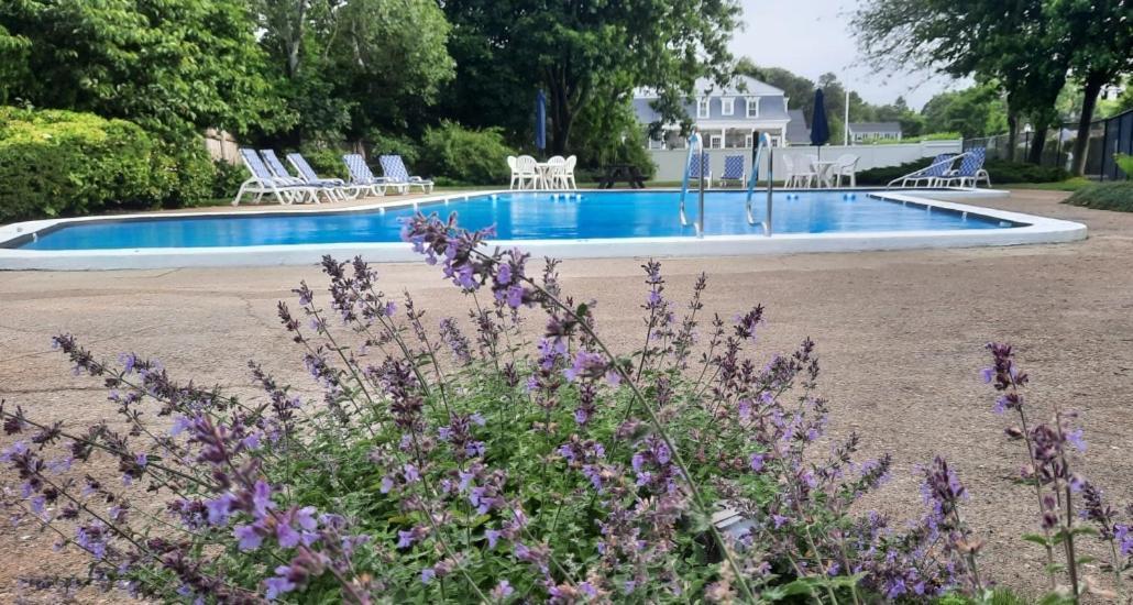 הארוויץ' פורט Harwichport Resort Club מראה חיצוני תמונה